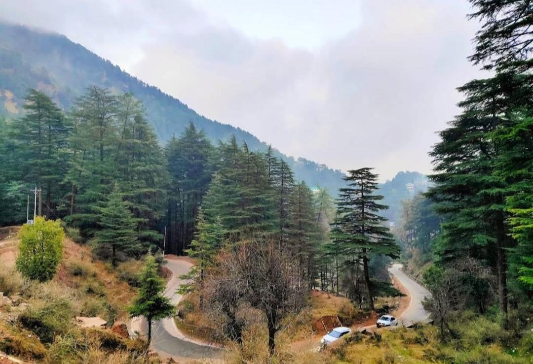 The Lake Cottage By Vrb Hotels Mcleodganj 达兰萨拉 外观 照片